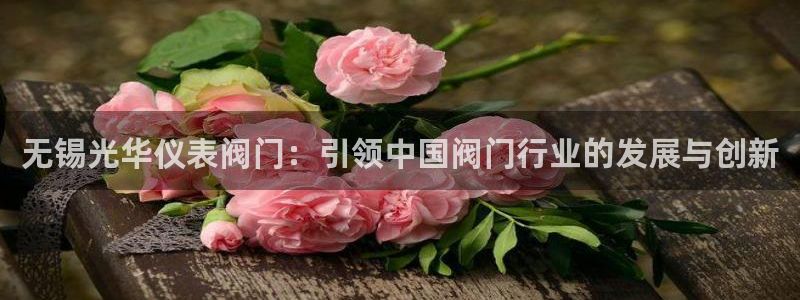 新宝gg代理登录
