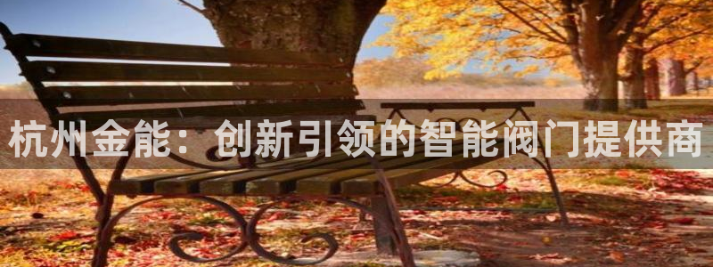 新宝GG登录③