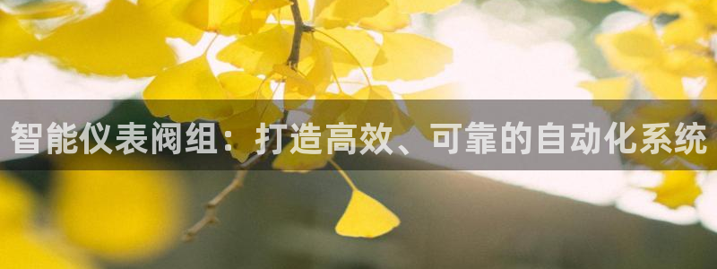 新宝gg娱乐注册