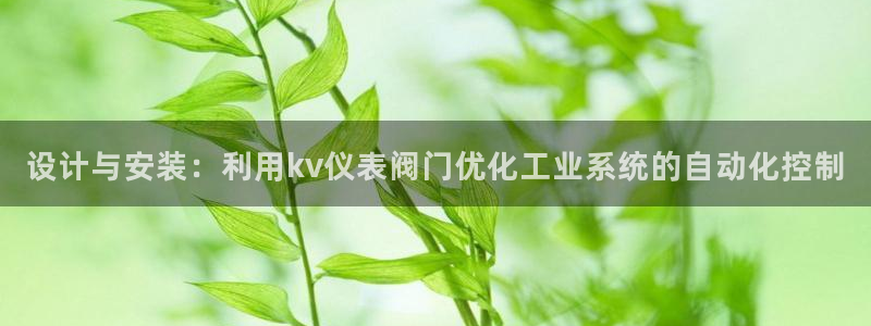新宝gg会员