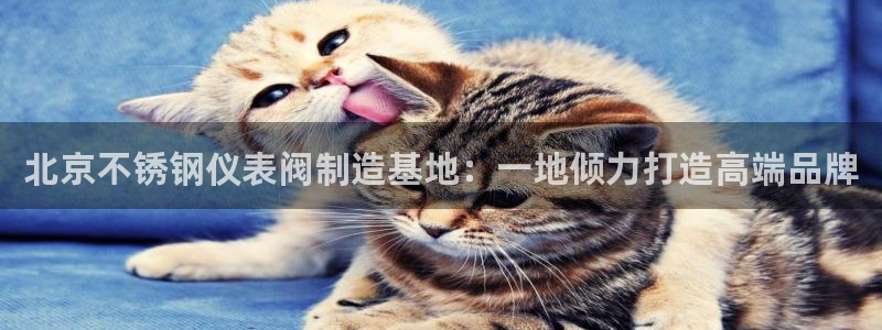 新宝gg线长