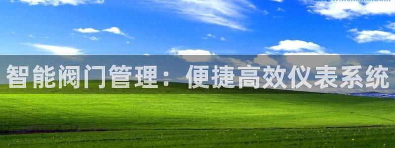 旧版新宝GG
