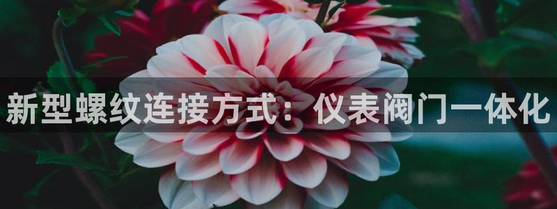 新宝gg招商89188