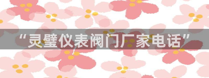 新宝gg代理登录