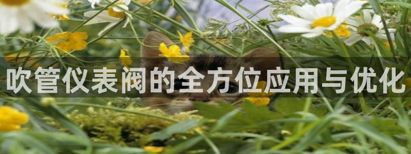 新宝gg平台下载安装