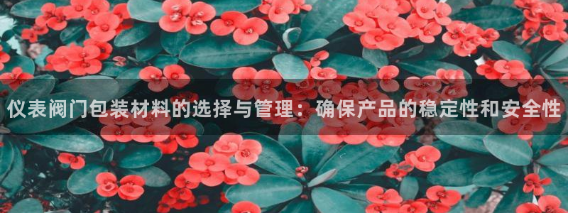 新宝gg套利