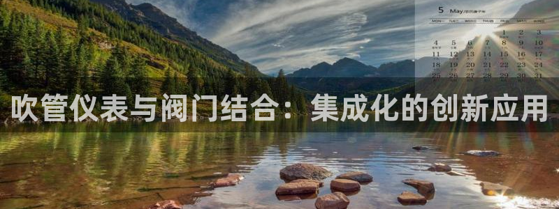 新宝gg怎么样