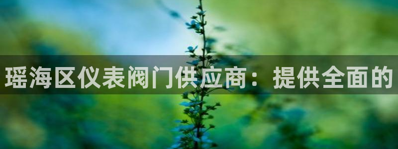 新宝gg是什么
