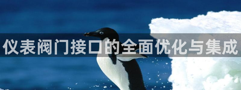 旧版新宝GG