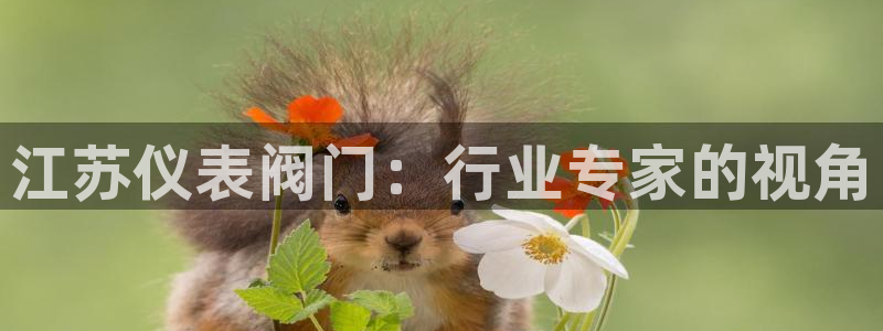 新宝gg主管
