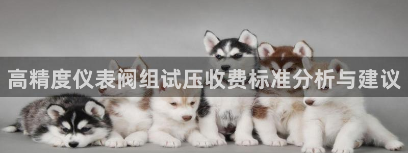 新宝gg违法