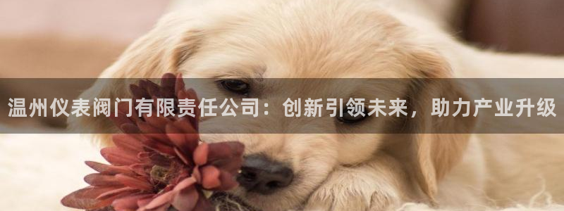 新宝gg类似