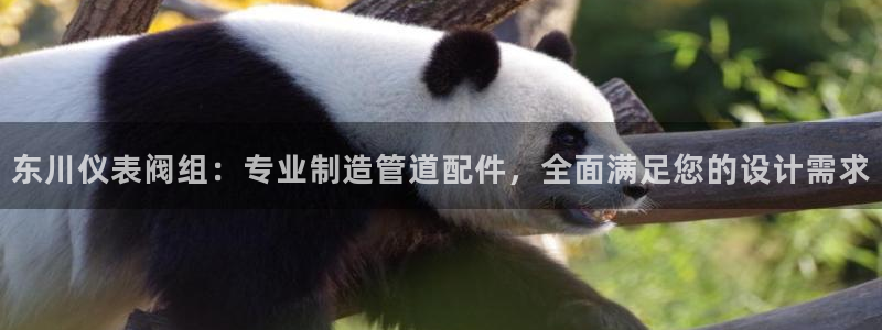 新宝gg怎么做代理