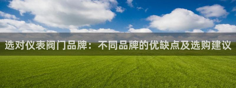 新宝gg登