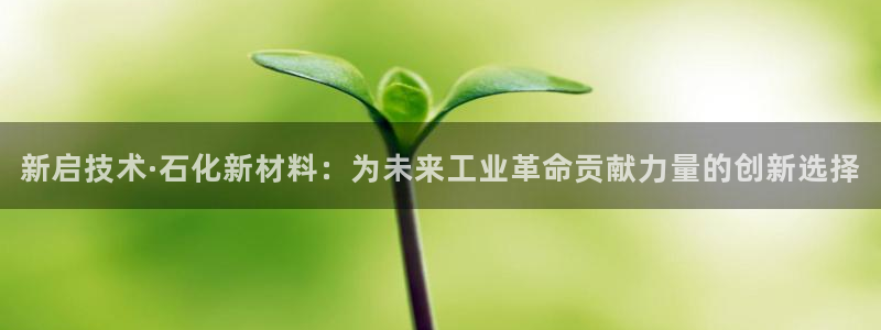 百度新宝gg