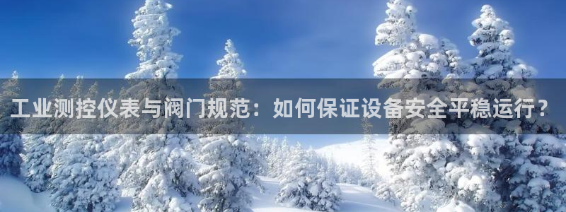 新宝gg手机版下载