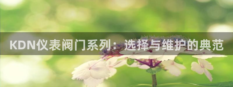 新宝娱gg