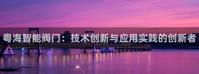 新宝给gg