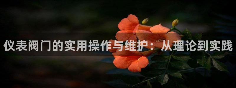 新宝gg奖金