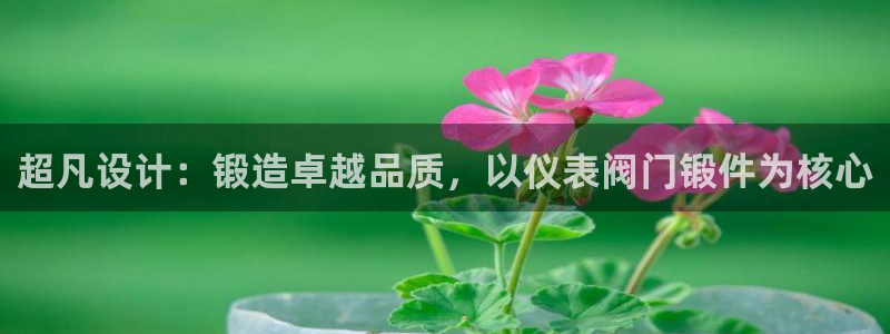 新宝gg — 创造!