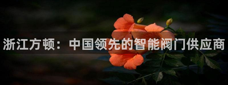 新宝gg娱乐盟主