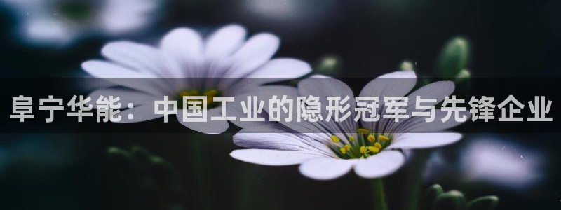 新宝gg下载官网下载