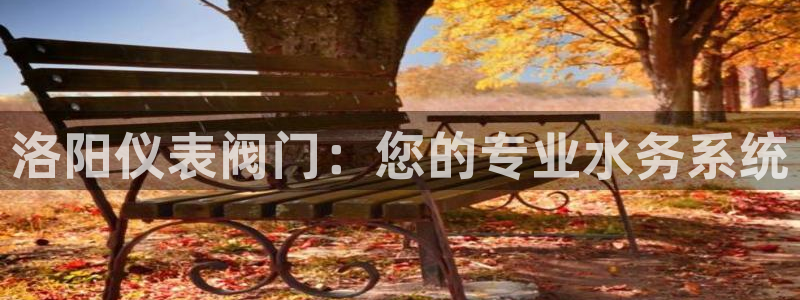 新宝奇迹GG