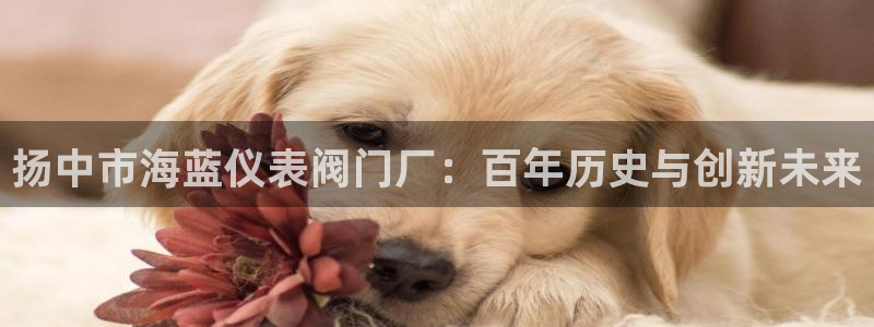 新宝gg主页