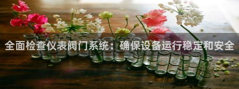 55新宝gg