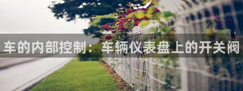 新宝gg 奇迹