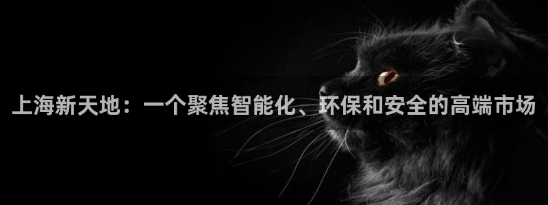 新宝gg辅助