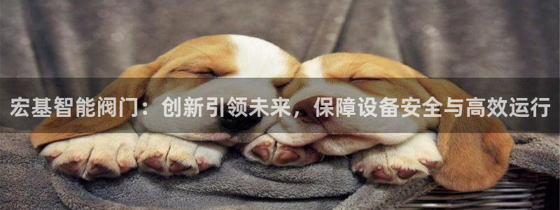 新宝GG创造奇