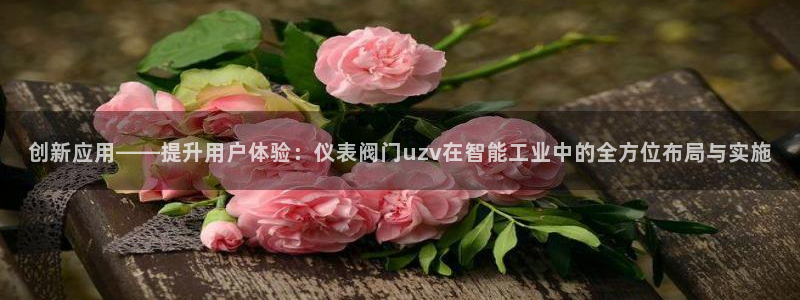 新宝gg真的能赚钱么