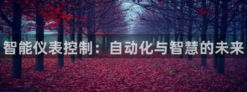 新宝Gg测速地址