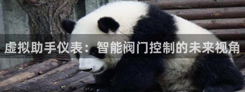 新宝gg注册q26880