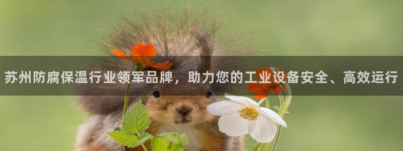 新宝gg手机