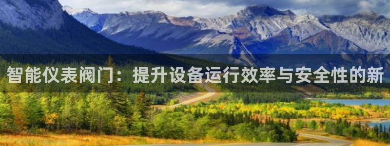 新宝gg怎么样