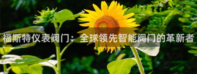 新宝gg招商致胜团队