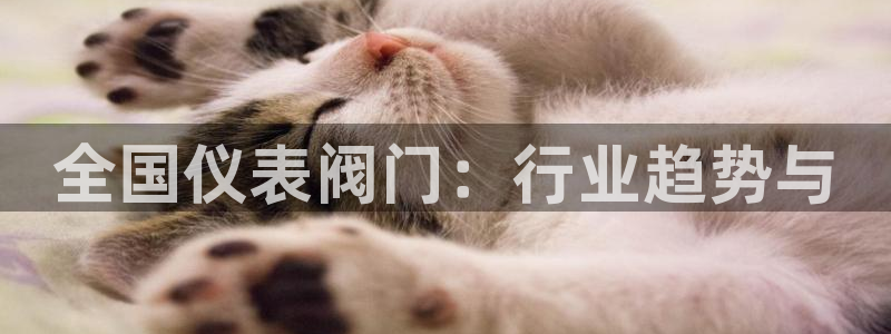 新宝gg开好