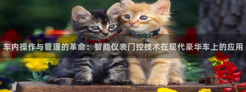新宝gg登陆新