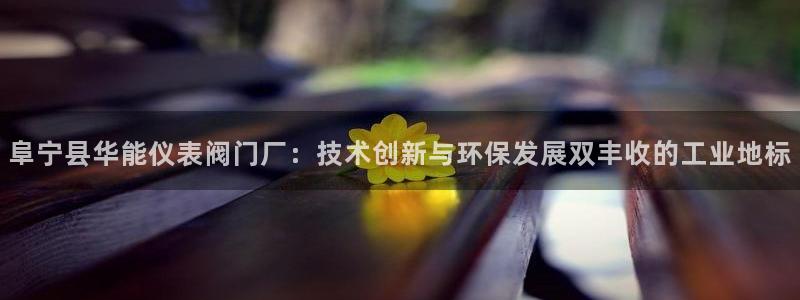 新宝gg如何赚钱