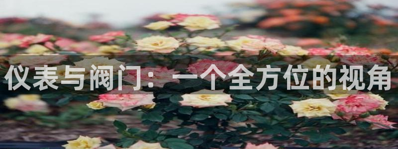 新宝gg创建奇迹