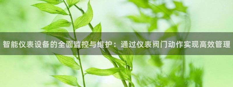 新宝gg辅助