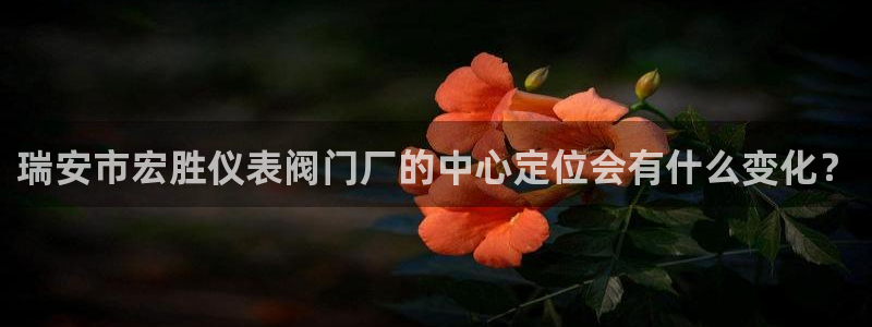 新宝gg图片