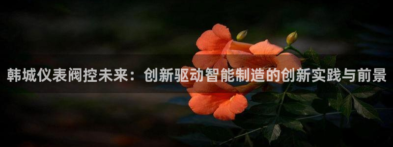 新宝gg怎么样