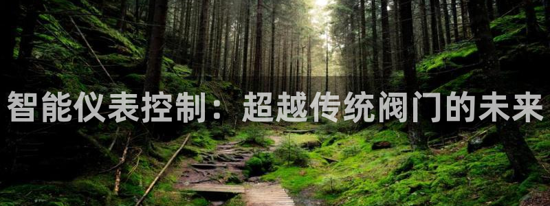 创造奇迹新宝gg