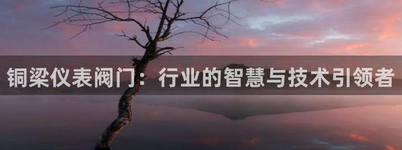 新宝gg官网
