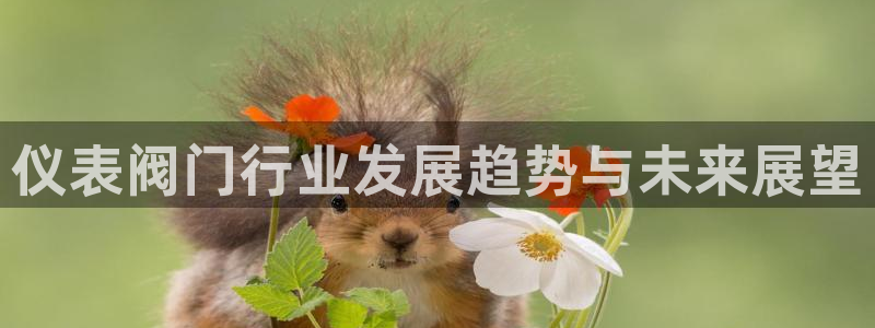 新宝gg佣金