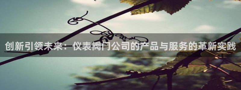 新宝GG苹果版