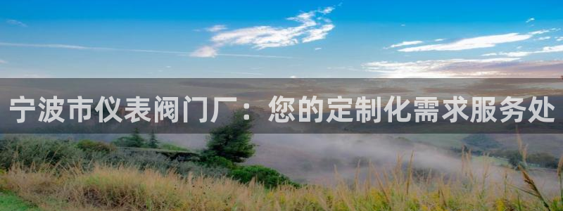 gg新宝gg